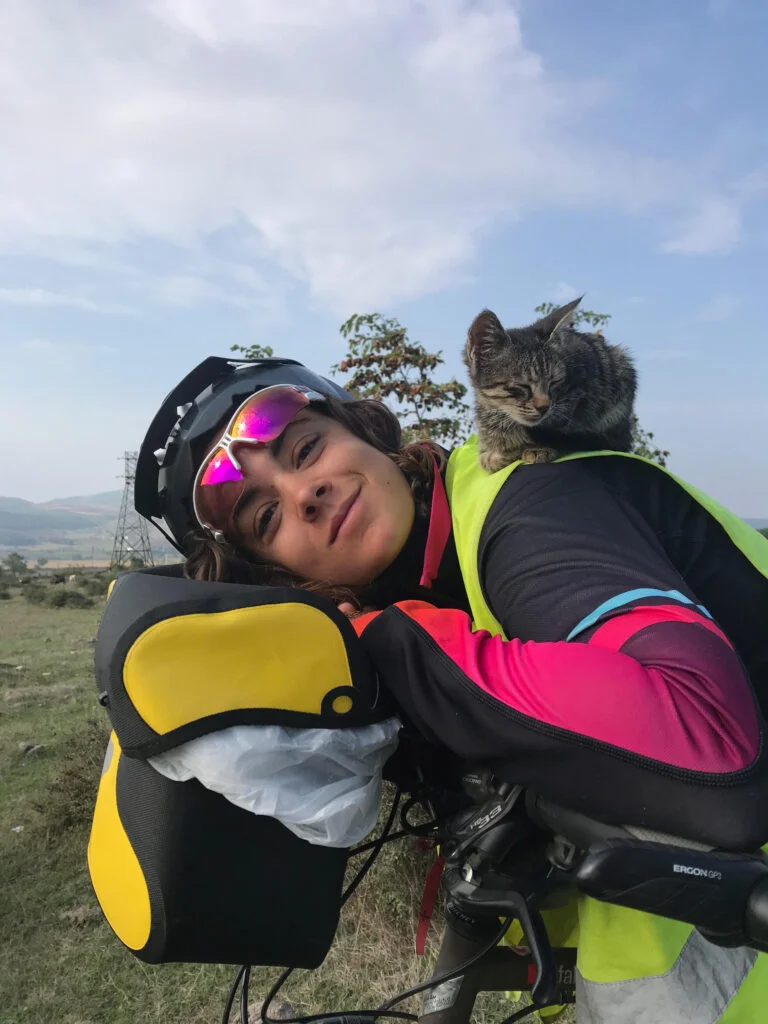 Finding a Kitten on the Road