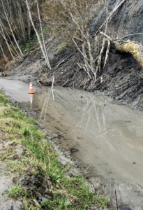 Flooded bike trail in the woods