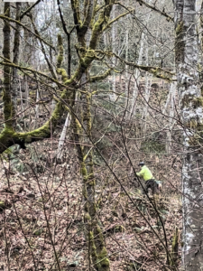 Bike rider pushing bike up steep hill through the woods